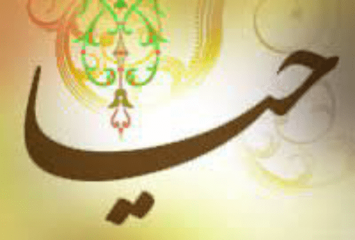 حیا چیست؟